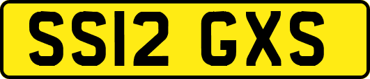 SS12GXS