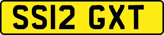 SS12GXT