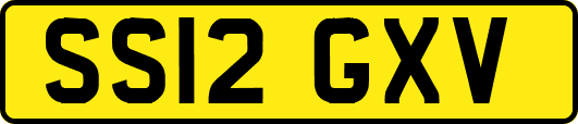 SS12GXV