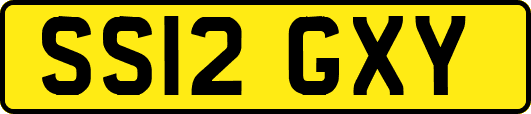 SS12GXY