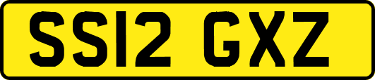 SS12GXZ
