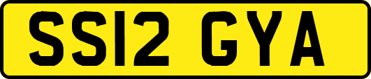 SS12GYA