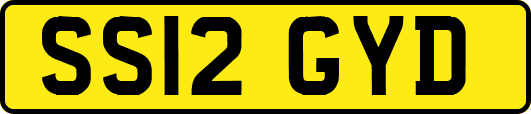 SS12GYD