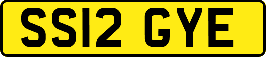 SS12GYE