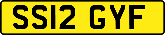 SS12GYF