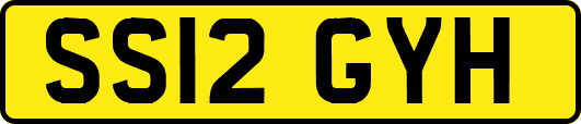SS12GYH