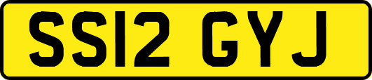 SS12GYJ