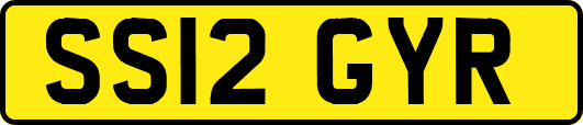 SS12GYR