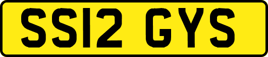 SS12GYS