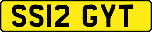 SS12GYT