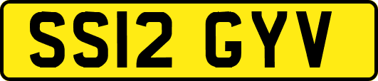 SS12GYV