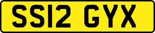 SS12GYX