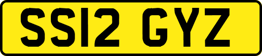 SS12GYZ