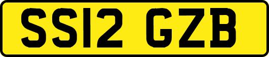 SS12GZB