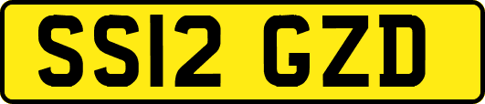 SS12GZD
