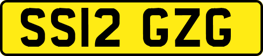 SS12GZG