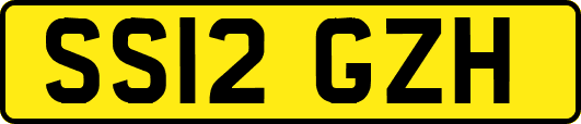 SS12GZH