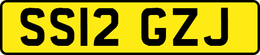 SS12GZJ