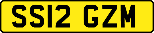 SS12GZM