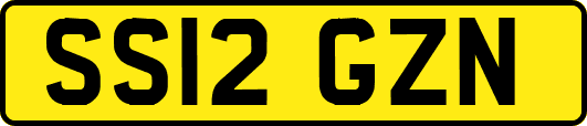 SS12GZN