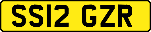 SS12GZR