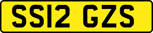 SS12GZS