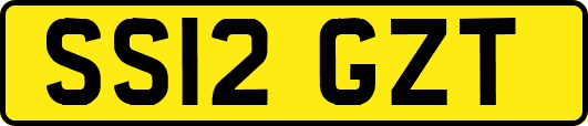 SS12GZT