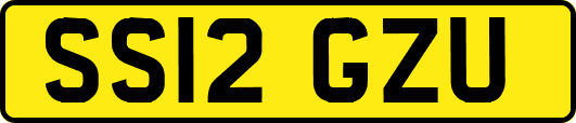 SS12GZU