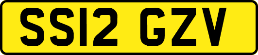 SS12GZV