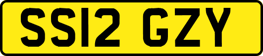 SS12GZY