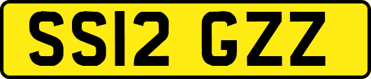 SS12GZZ
