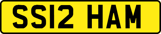 SS12HAM