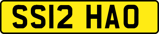 SS12HAO