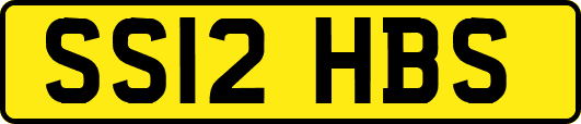 SS12HBS