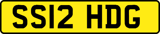 SS12HDG
