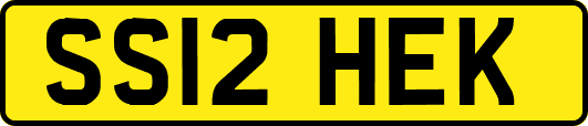 SS12HEK