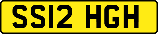 SS12HGH