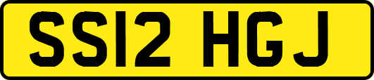 SS12HGJ