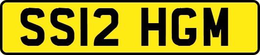 SS12HGM