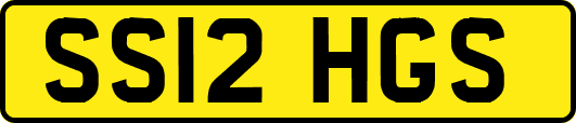 SS12HGS