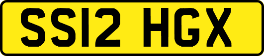 SS12HGX