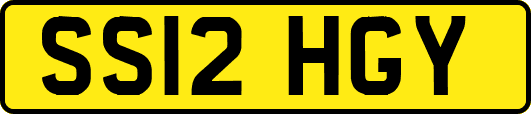 SS12HGY