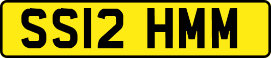 SS12HMM