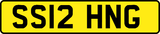 SS12HNG