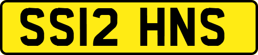 SS12HNS