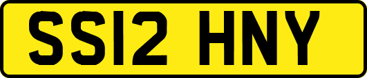 SS12HNY
