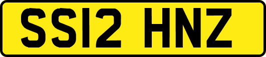 SS12HNZ