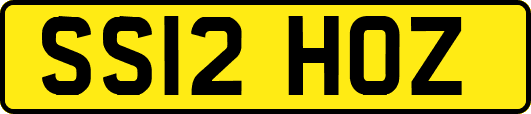 SS12HOZ