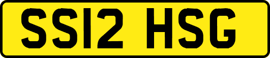 SS12HSG