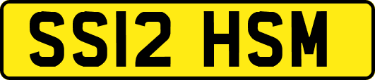 SS12HSM